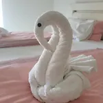 Nemo *