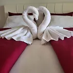 别墅 Nemo 波雷奇